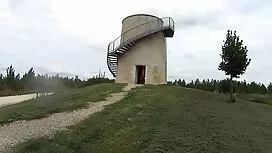 Il bambino accarezza ...