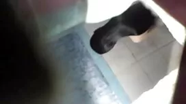 Porno star procace e ...