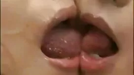 Pulcino film porno m ...