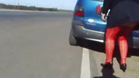La cagna seduta sull ...