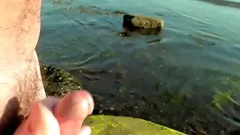 La cagna salta al pe ...