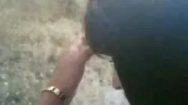 La cagna seduto amat ...